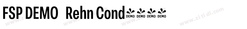 FSP DEMO   Rehn Cond字体转换